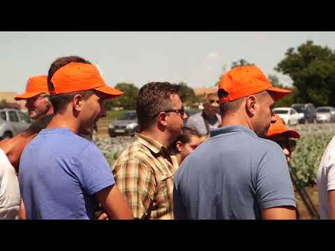 Eveniment Varza + Conopida - Vizejdia 30.06.2017