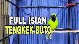 Download lagu PANCINGAN CUCAK IJO GACOR||FULL ISIAN TENGKEK BUTO mp3