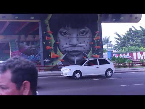 lessa gustavo - cloro