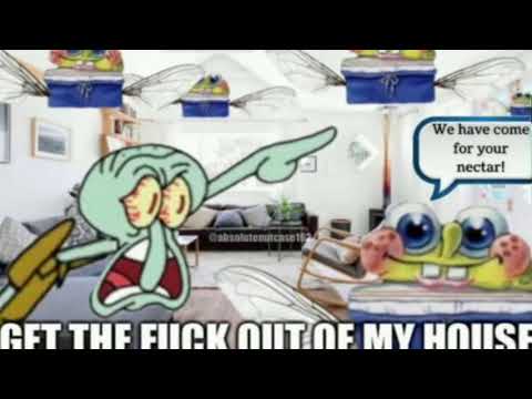 We have come for your nectar in low quality