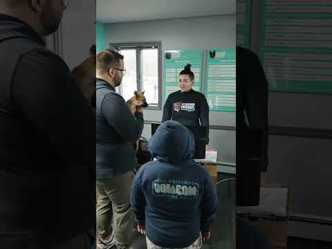 My Son's Allergic to the Dog! #shorts