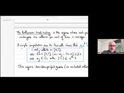 Laure Saint-Raymond: Fluctuation theory in the Boltzmann-Grad limit