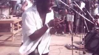 Bunny Rugs-I Am I Said