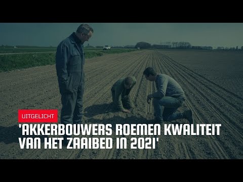 Uitgelicht | 'Akkerbouwers roemen kwaliteit zaaibed'