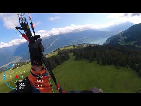 Kurzer Flug Amisbühl