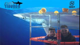 DIA 2 Expo Tiburon54