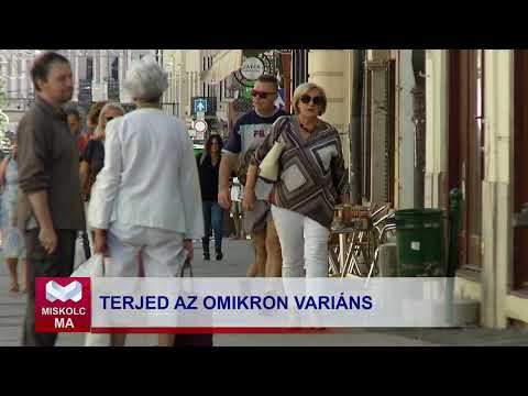 Videó előnézet
