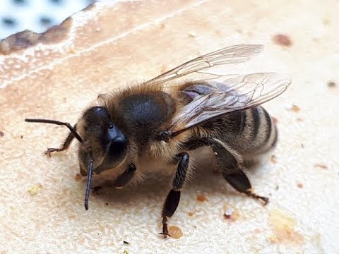 16.03.19 Einzug in die Beute