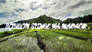 Download lagu Songon Sunge Namabaor mp3 Download lagu Songon Sunge Namabaor mp3