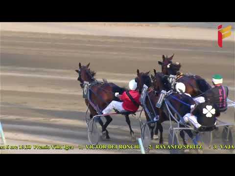 VI Corsa del 4 Agosto 2021 - Reclamare - Metri 1600 - Gentlemen