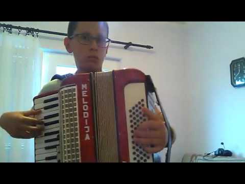 I mi smo Sremci-od Bore