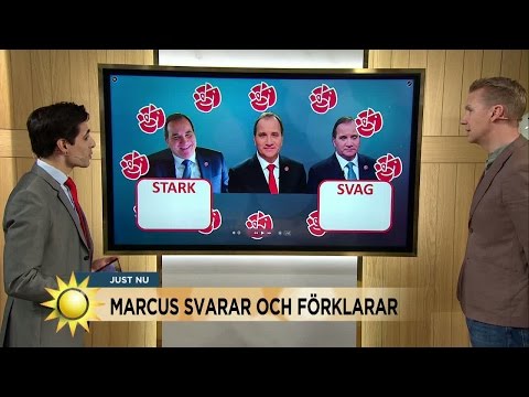 Marcus Oscarsson om Stefan Löfvens ledarstil - Nyhetsmorgon (TV4)