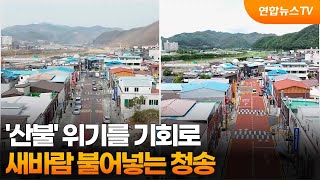 '산불' 위기를 기회로…새바람 불어넣는 청송 / 연합뉴스TV (YonhapnewsTV)