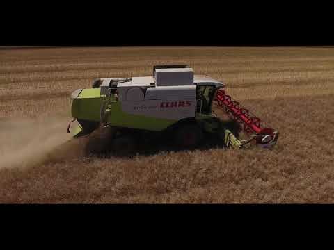 Lumiposa® - neue Saatgutbeize für den Raps