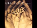 I Love Lucy - Michael Franks 