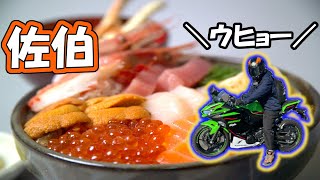 【佐伯目指して】海の幸大・大・大満喫ツーリング【Part.2】