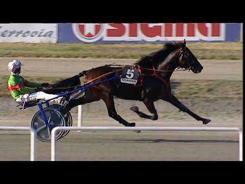 Napoli Trotto 15/09/2023 - 6ª corsa