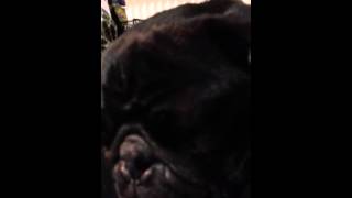 Waiting to begin rally novice!