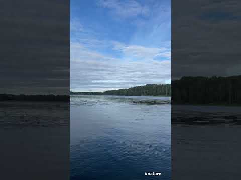 #nature #sweden #myson #stockholm