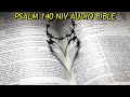 PSALM 140 NIV AUDIO BIBLE (with text)