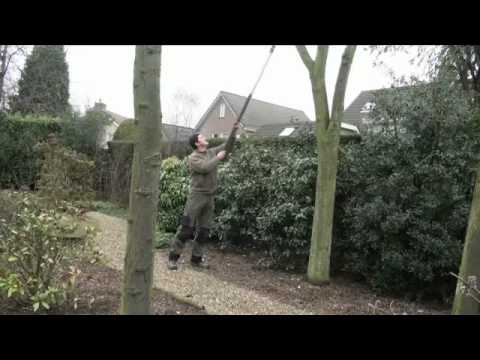 Hovenier Malden Raymond van Schaik Tuinen