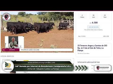20-02-26 - 148º Remate por Internet de Brandemann Consignataria S.R.L. -    Eduardo Castex, La Pampa