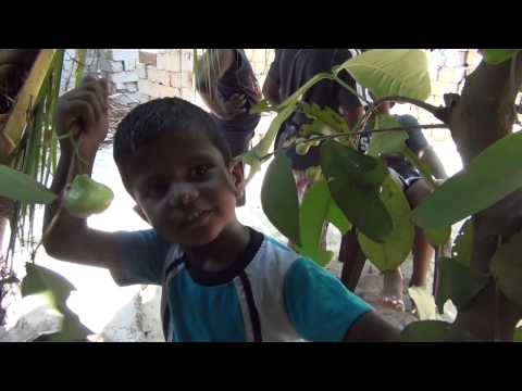 Nature Teaches You !