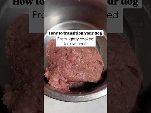 How to Transition Your Dog to Raw (Step by Step Guide)