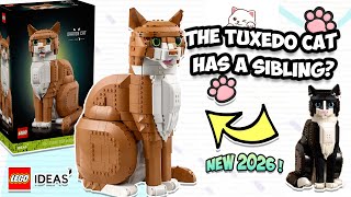 YouTube thumbnail: ⭐ “Is the LEGO Orange Cat 🐈Just the Tuxedo Cat’s 🐈‍⬛ Sibling?” First Impressions ! New 2026 !