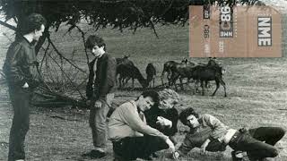 Music video thumbnail preview for Shrubs - Bullfighter's Bones {1986} by The Shrubs