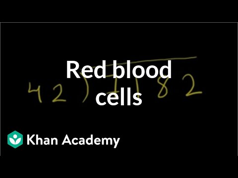 Red Blood Cells: Oxygen Uptake by Hemoglobin