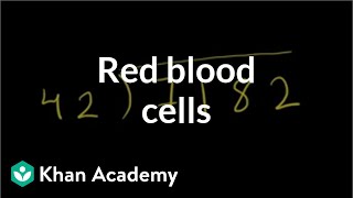 Red blood cells | Human anatomy and physiology | Health &amp; Medicine | Khan Academy