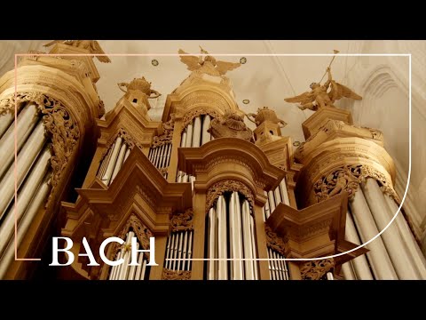 Bach - Ich ruf zu dir, Herr Jesu Christ BWV 639 - Van Doeselaar | Netherlands Bach Society