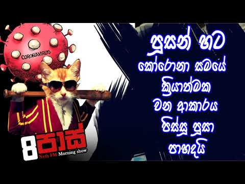 NETH FM 8 Pass Jokes 2020.04.24 - පූසන් හට කෝරොනා සමයේ ක්‍රියාත්මක වන ආකාරය පිස්සූ පූසා පාහදයි