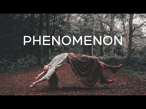 Max Freegrant & Francesco Sambero ft. Madeleine Wood - Phenomenon