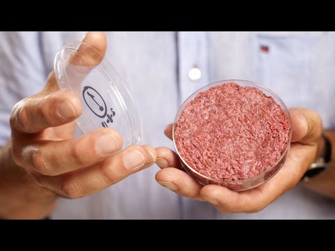 Click to Watch the Cultured meats coming to a store near you in 2018 video