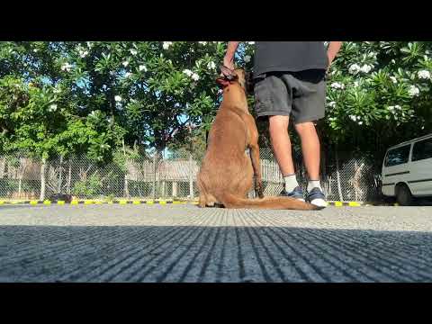 RESHA & KURU CHANNEL