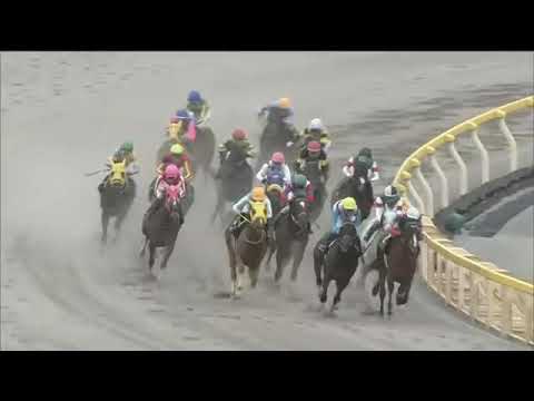 2020.05.10 Brilliant Stakes (JPN) - Ailes du Courage