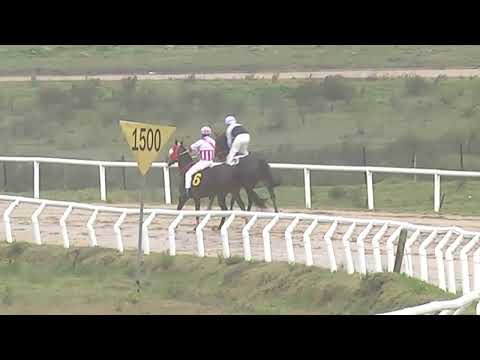 SINT FLORIDA 230907 c01 - 1° CAFETIN SAUCEÑO