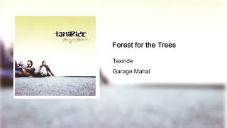 Taxiride - Forest for the Trees