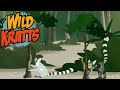 Wild Kratts Season 3 Episode 24 -- Lemur Stink Fight (Full Episode)