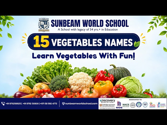 Learn Vegetables with Fun