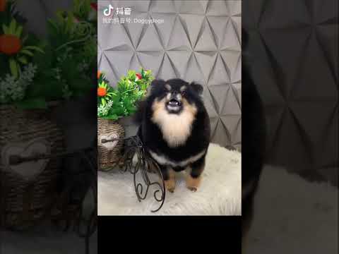 认同我们的技术与服务，下次再来哦！