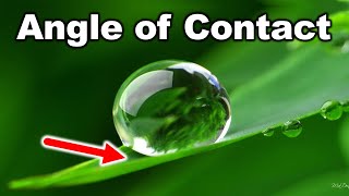 🔴 Angle of Contact || Surface Tension || for Class 11 in HINDI