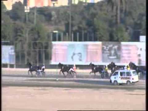 www kennethvella.com  Meeting (31) Date 26-6-2015 Race 1,2,3,4,5,6,7,8,9.