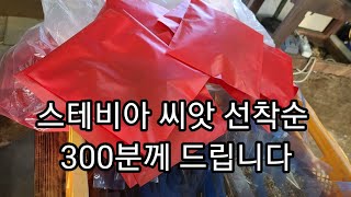 스테비아 씨앗 나눔  선착순 300명 대방출~