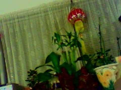 Endless Story - me singing