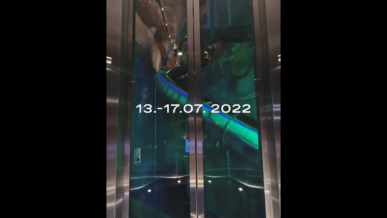 Elevate Trailer 2022