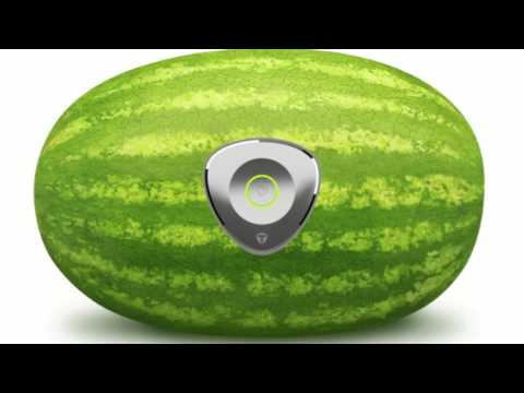 Tunebug Music For Your Melon?