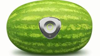 Tunebug Music For Your Melon?
